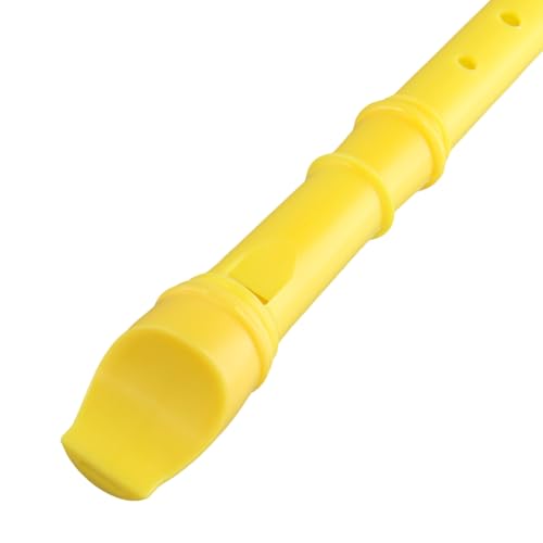 SEHOI Pacote com 30 flautas de descida de 8 furos, instrumentos musicais alemães com haste de limpez