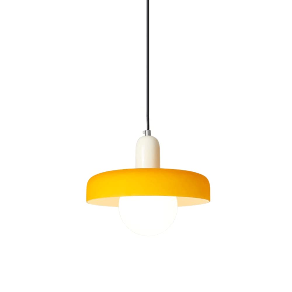 Lampe suspendue en verre et métal E27 luminaire créatif de plafond