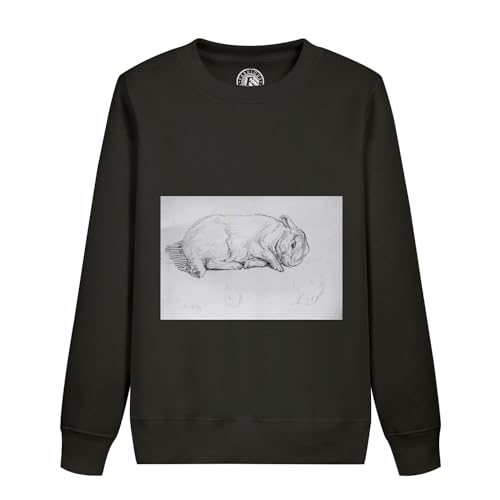 Sweatshirt enfant dessin lapin mignon illustration Beatrice Potter vêtement coton