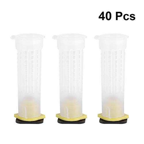 Balacoo 40pcs Queen Bee Roller Cages Plastic Cell Fixture Queen Nee Hair Roller Cages Rearing Cup Holder Beekeeping Tool