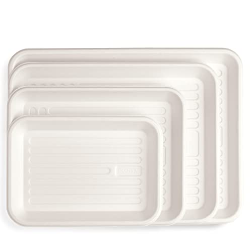 Image of Practicon Ecosply Instrument Tray, Biodegradable, X-Small, Pack of 250