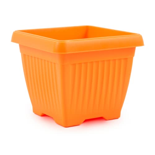 Hug A Plant |Bello Square 25CM Plastic Pot for Home & Garden (Orange, 25CM|9 INCH, Pack of 1)