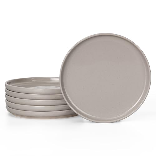 HaWare Dinner Plates Set of 6, 10.2 Inch Stoneware Dinnerware Sets for Home Restaurant, Speckled Cream Coffee