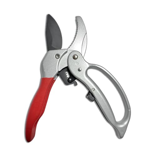Ratchet Anvil Pruning Shears
