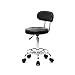 Tesmula gt2 Round Shape Adjustable Salon Stool with Back and Line Black
