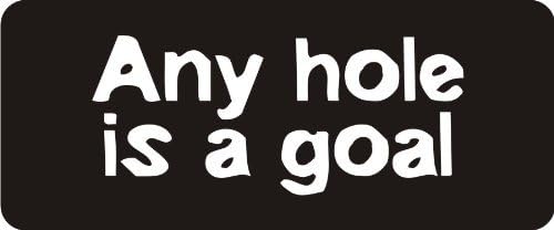 3 - Any Hole is A Goal 1 1/4" x 3" Hard Hat Biker Helmet Stickers Bs037