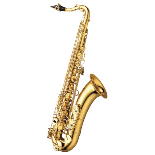 Amazon | Yanagisawa TENOR SAXOPHONE T-WO10 ヤナギサワ テナー