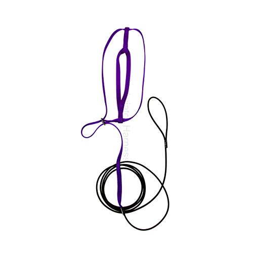 Image of The AVIATOR Pet Bird Harness and Leash: X-Large Purple