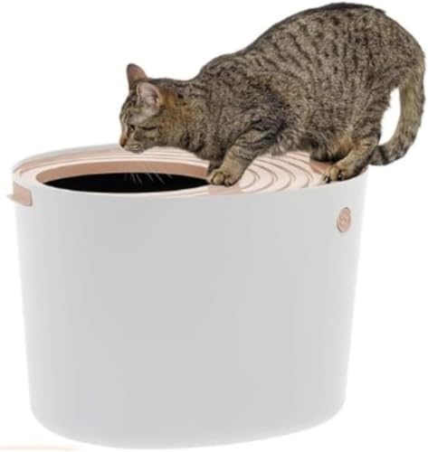 YIJOFU LgC ACXI[} L gC { ォLgC L VXegC jƂgC Siuhuig L T[N юUȂ zCg M[TCY