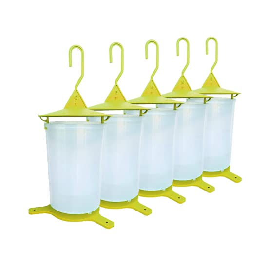 Pack de 5 trampas para moscas de frutas, moscas de cereza y moscas de olivo, ecológico y económico, para colgar y colocar