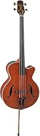Body Jumbo form Top gewölbt Sitka Spruce Cutaway Flamed Maple Base and sides gewölbt