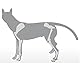 HERZENSTIER Krallenschutzbandage Gr. M30 für Hunde, Schutz für Wolfs- und Daumenkralle, doppelseitiges Fleece, für Hundesport, Jagd & Agility