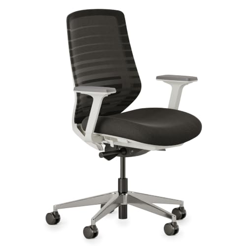Branch Ergonomic Chair