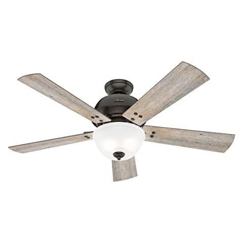 Hunter Noble Bronze Ceiling Fan with Remote Cover