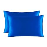 2-Pack Silk Pillow Cover Zippered Multicolor Multiple Sizes(Champagne,40 x 60 cm (Pack of 1))