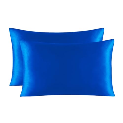 2-Pack Silk Pillow Cover Zippered Multicolor Multiple Sizes(Champagne,40 x 60 cm (Pack of 1))