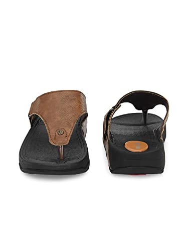 Image of Big Fox Slippers for Men