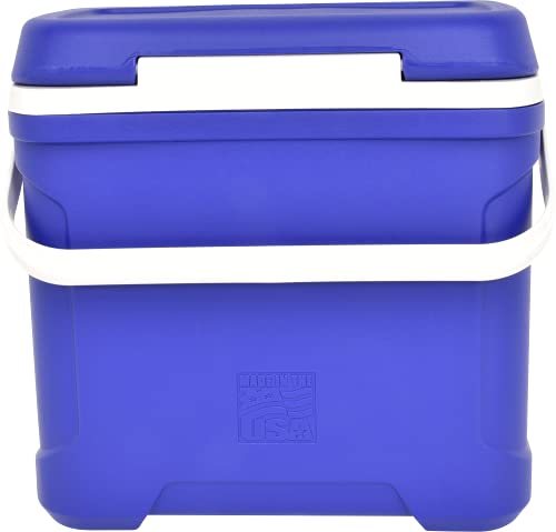 walk in cooler 2026 34