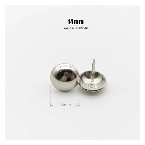 lW 100 ⒣ lC WG[ `FXg Mtg CP[X ؔ \t@ C  ^bN X^bh vbVs hAlC(Silvery cap dia 14mm)