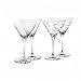 Mikasa Cheers 10-Ounce Martini Glasses, Fun Etched Designs, Durable Clear Glass Cocktail Glassware, Set of 4, Perfect for Entertaining and Gifting