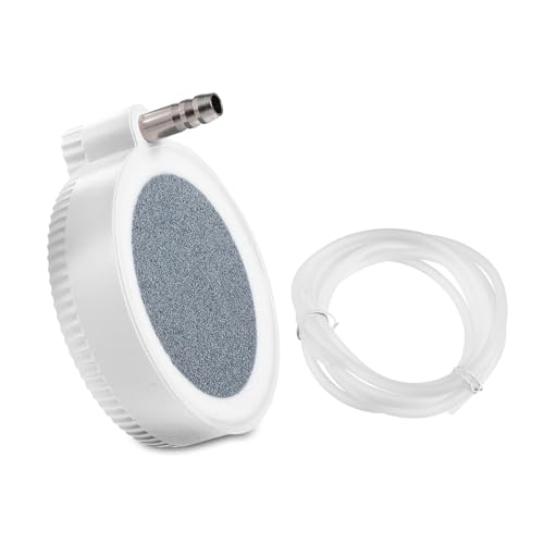 CAPASTEC GAXg[A~lpGAfBXNXg[AGA|vp_ffBt[U[AGAXg[ANAELbga6.06cmA2