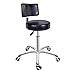 Taburete giratorio de altura ajustable con asiento redondo, taburete con ruedas para salón, masajes, fábrica, tienda (con respaldo, negro)
