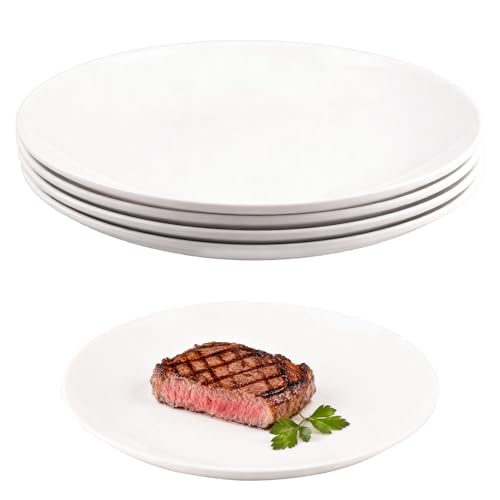 Doafoce Lot de 4 Assiettes Plates 25cm Set Assiette Blanche Grand Vaisselle Plastique