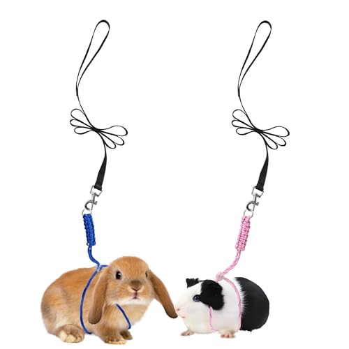 GOMICRAFT Handmade Figure 8 Harness and Leash for Ferrets/Bearded Dragons/Guinea Pigs/Rats/Chinchillas/Reptiles/Birds/Squirrels/Small Animals