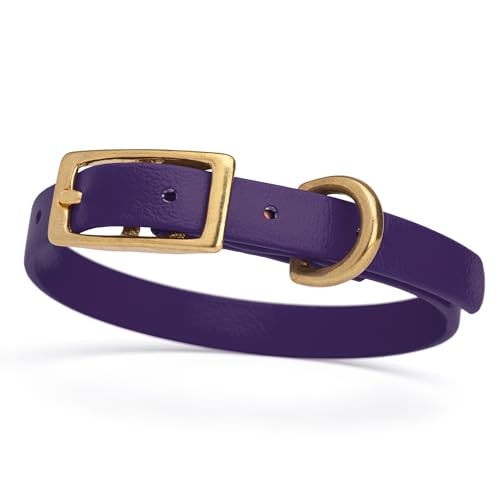 Image of Viper Biothane Heavy Duty Waterproof Dog Collar Strong Coated Nylon Webbing w /Solid Brass Hardware Odor-Proof Easy to Clean High Performance Fits Small Medium or Large Dogs, Violet Purple
