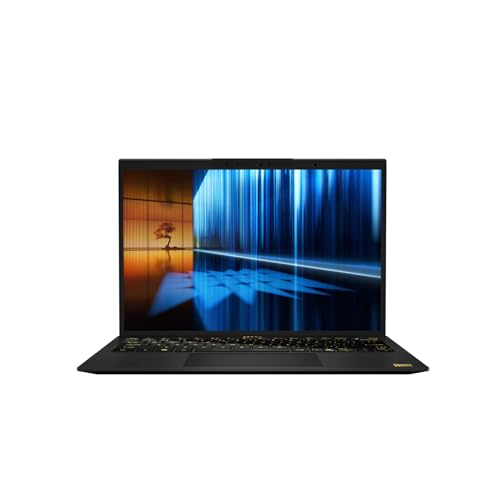 MSI Prestige 13 AI+ Ukiyoe Edition A2VMG-214 - Notebook - Core Ultra 9 (0013Q3-214)