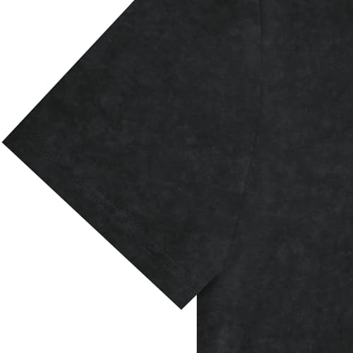 LOGEEYAR Men's Athletic Washed T-Shirts Basic Crew Neck Tees Tops Causal Distressed Cotton T Shirts for Men4