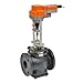 Belimo | G6125CS+AVKB120-3 | Globe Valve | 5" | 2 Way | 263?Cv | w/ Electronic FS | 120V | Floating Point