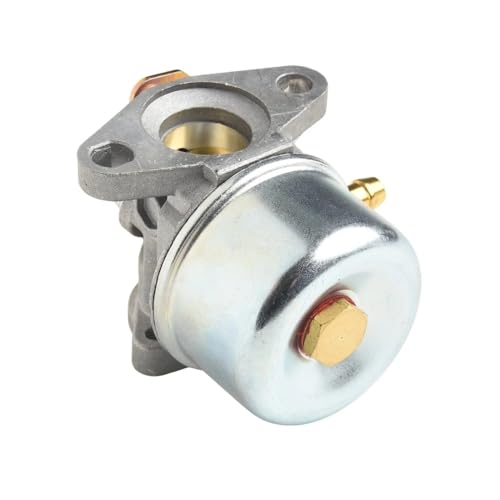 Carburateur de remplacement pour 214570 - Pièce de moteur thermique