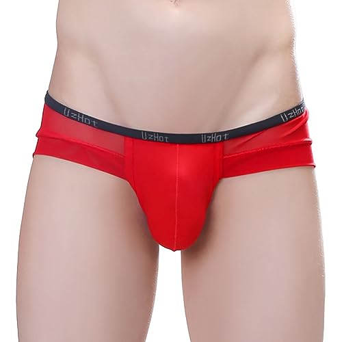 Sexy Transparent Ultra Thin Mesh Men's Bikini Pants Large Size See-through Briefs Men's Shorts Underwear2