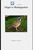 AVITOPIA - Vögel in Madagaskar - Wolfgang Daunicht 