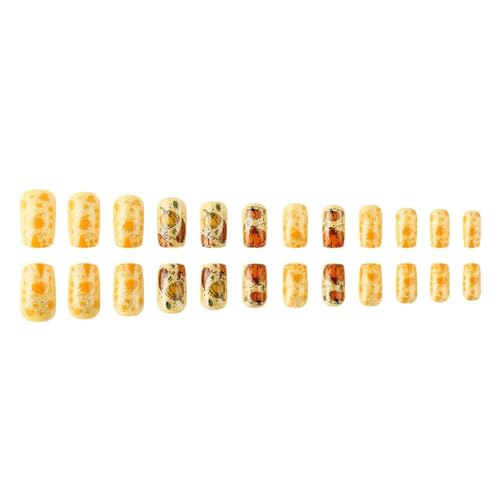 24PC/ZbgtH[tH[lCӍՂ̃lCvX܃J{`lH܃tJo[XeBbNXeBbN