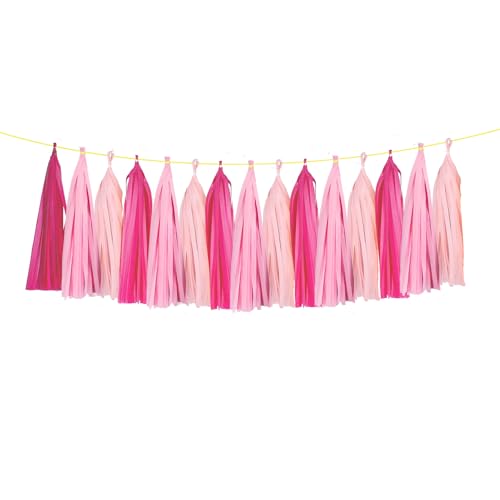 ZOOYOO Tassel Garland Tissue Paper Tassel Banner Table Decor,DIY Kits for Girls Women Birthday,Wedding,Bridal Shower,Bachelorette,Anniversary,Pack of 15(Hot-Pink,Light-Pink)