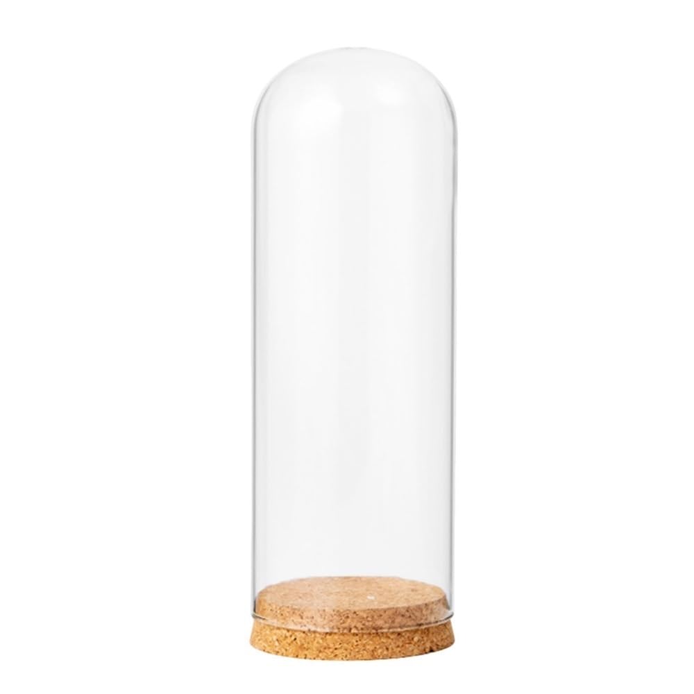 LOMNCHSG Glass Cloche Dome, Glass Cloche Dome Wooden Base Cover Dry Flower Ornament Multiple Sizes 8-9cmx10-18cm(9cmx18cm)