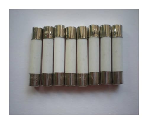 Fusibles 25A 250V 6x30mm en lot de 100 pièces pour la protection des circuits électriques