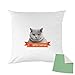 Mygoodprice British Shorthair - Funda de cojín Bicolor Estampado, 40 x 40 cm, Color Verde