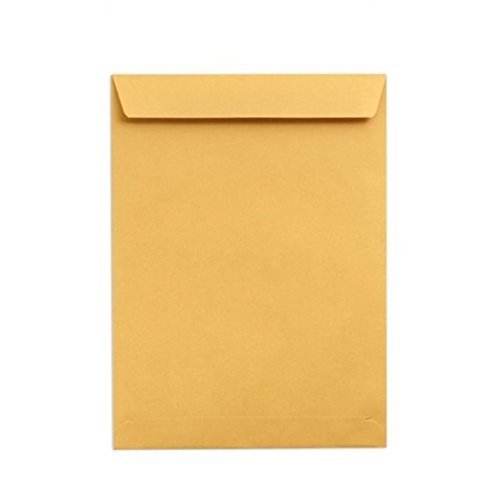 YBN Laminated Envelopes (14x10-inches) - Pack of 50