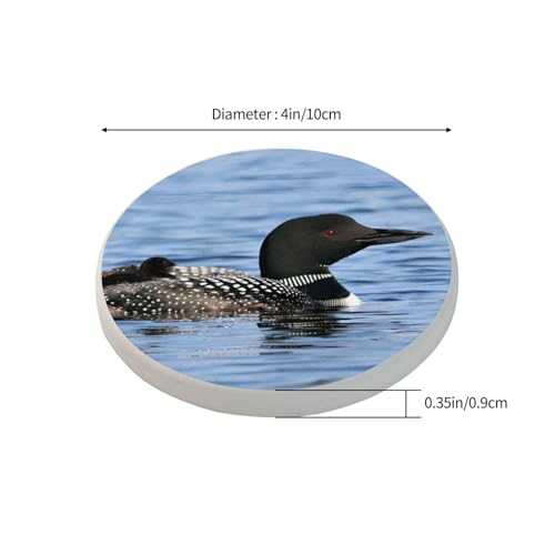 Sous-verres ronds en diatomite Loon Birds anti-trace d'eau table - 4
