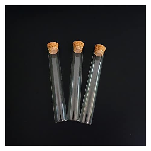 KXǁA48 15x100mm RNXgbp[tKX 