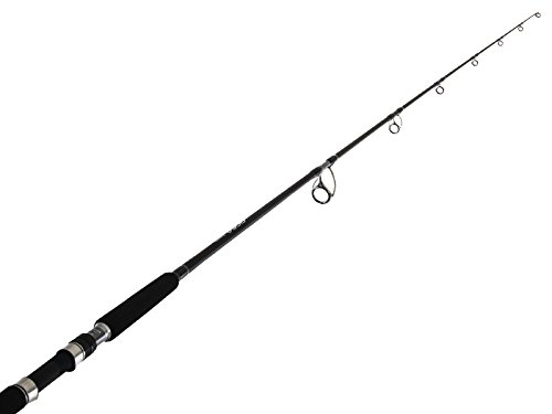 Amazon | シマノ(SHIMANO) キャスティングロッド オシアプラッガー