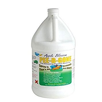 Apple Blossom Gallon