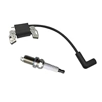 YGQ Zündspule für Briggs und Stratton 799582 798534 593872 84005272 Anker-Magnetomodul für Rasenmäher-Trimmer mit Zündkerze