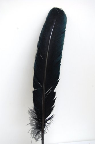 5 Pcs Turkey Quills Feathers 8-12