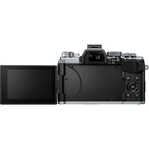 Amazon Canada: Olympus OM-D E-M5 Mark III Mirrorless Digital