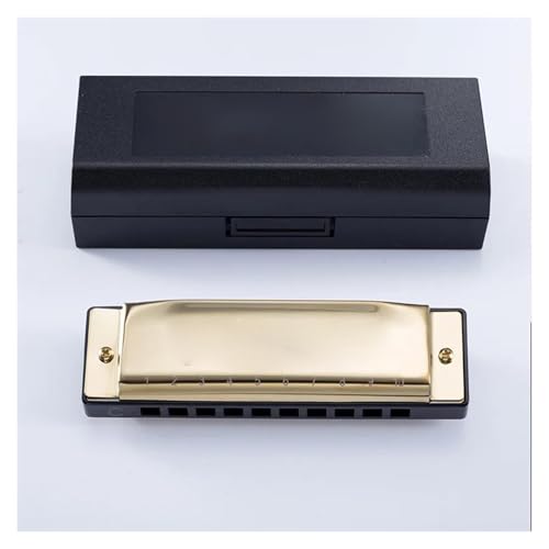 l n[jJ 10n[jJ S wKy u[X u[XvC[ K g[jO(Gold)