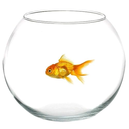  Ampolla Boccia In Vetro Trasparente 30 Cm Acquario Per Pesci Centrotavola